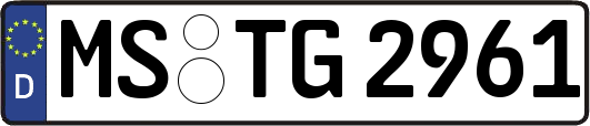 MS-TG2961