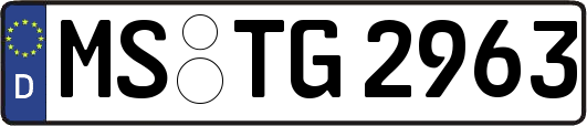 MS-TG2963
