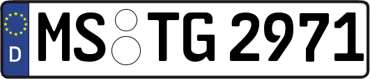 MS-TG2971