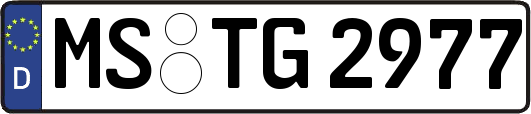 MS-TG2977