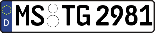 MS-TG2981