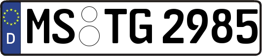 MS-TG2985