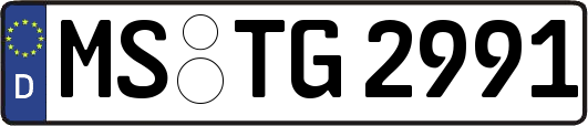 MS-TG2991