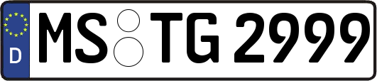 MS-TG2999