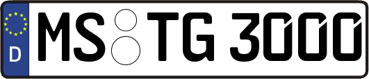 MS-TG3000