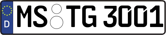MS-TG3001