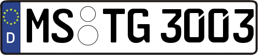 MS-TG3003
