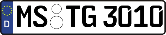 MS-TG3010