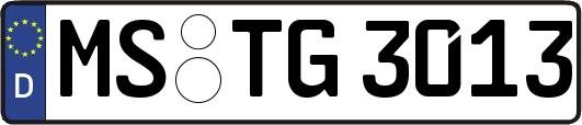 MS-TG3013