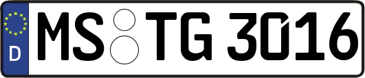 MS-TG3016