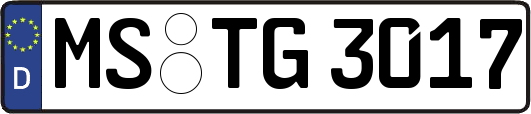 MS-TG3017
