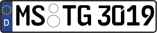 MS-TG3019