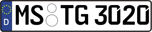 MS-TG3020