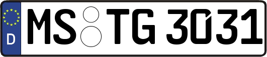 MS-TG3031