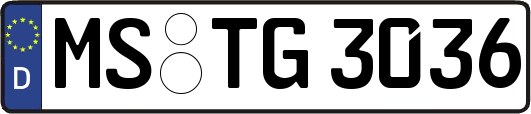 MS-TG3036