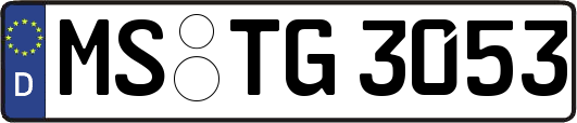 MS-TG3053