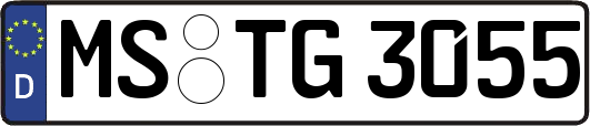 MS-TG3055