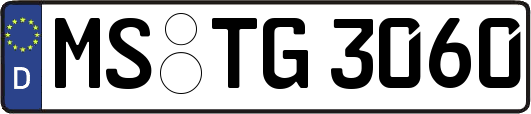 MS-TG3060