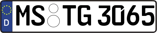 MS-TG3065