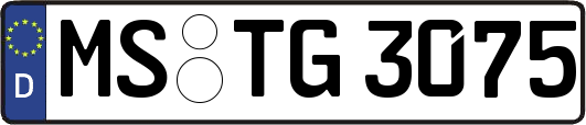 MS-TG3075