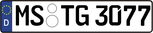 MS-TG3077