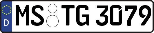 MS-TG3079