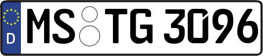 MS-TG3096