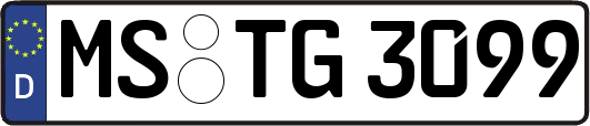 MS-TG3099
