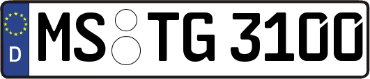 MS-TG3100