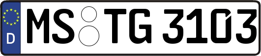 MS-TG3103
