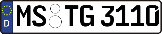 MS-TG3110