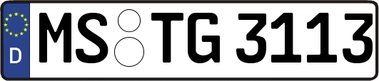 MS-TG3113