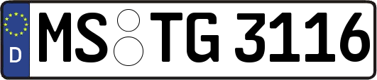 MS-TG3116