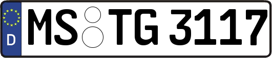 MS-TG3117