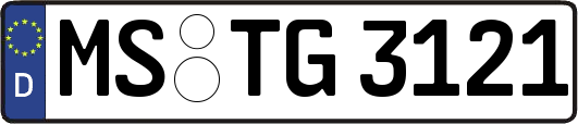 MS-TG3121
