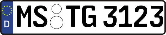 MS-TG3123