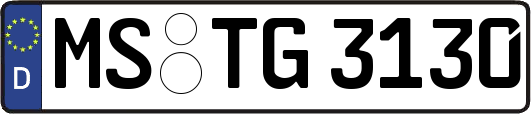 MS-TG3130