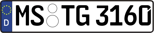 MS-TG3160