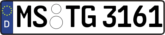 MS-TG3161