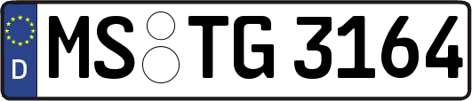 MS-TG3164