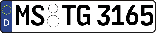 MS-TG3165
