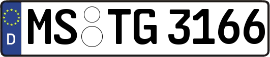MS-TG3166