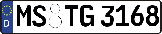 MS-TG3168