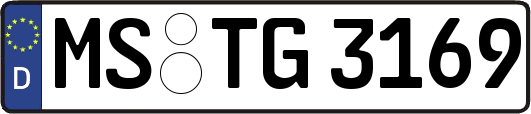 MS-TG3169