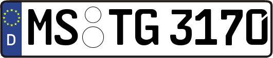 MS-TG3170
