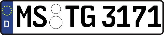 MS-TG3171