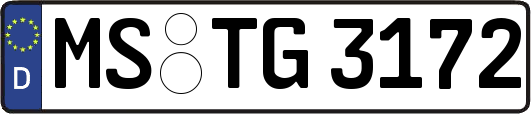 MS-TG3172