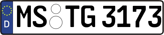 MS-TG3173