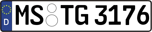 MS-TG3176
