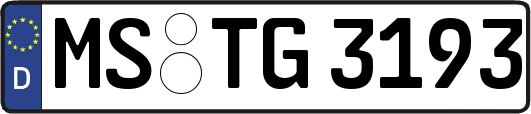MS-TG3193